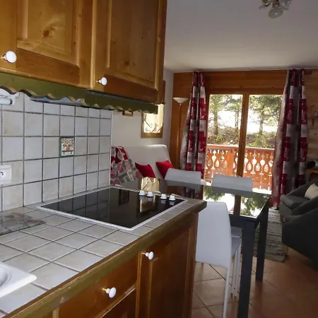 Apartment Rez-de-jardin Cosy Avec 3 Pieces, Proche Pistes Et Centre De - Fr-1-464-55 Pralognan-la-Vanoise